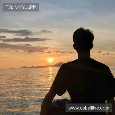 韦飚将